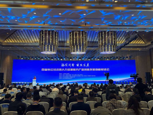 首届长江经济带人力资源服务产业创新发展高峰对话会在汉举办